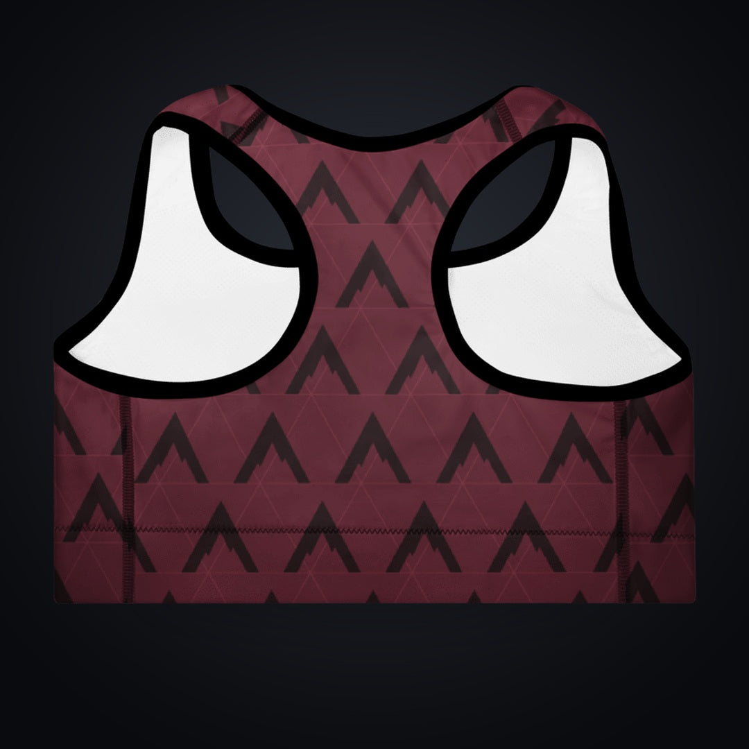 APEX SUPPLY Sports Bra – Burgundy